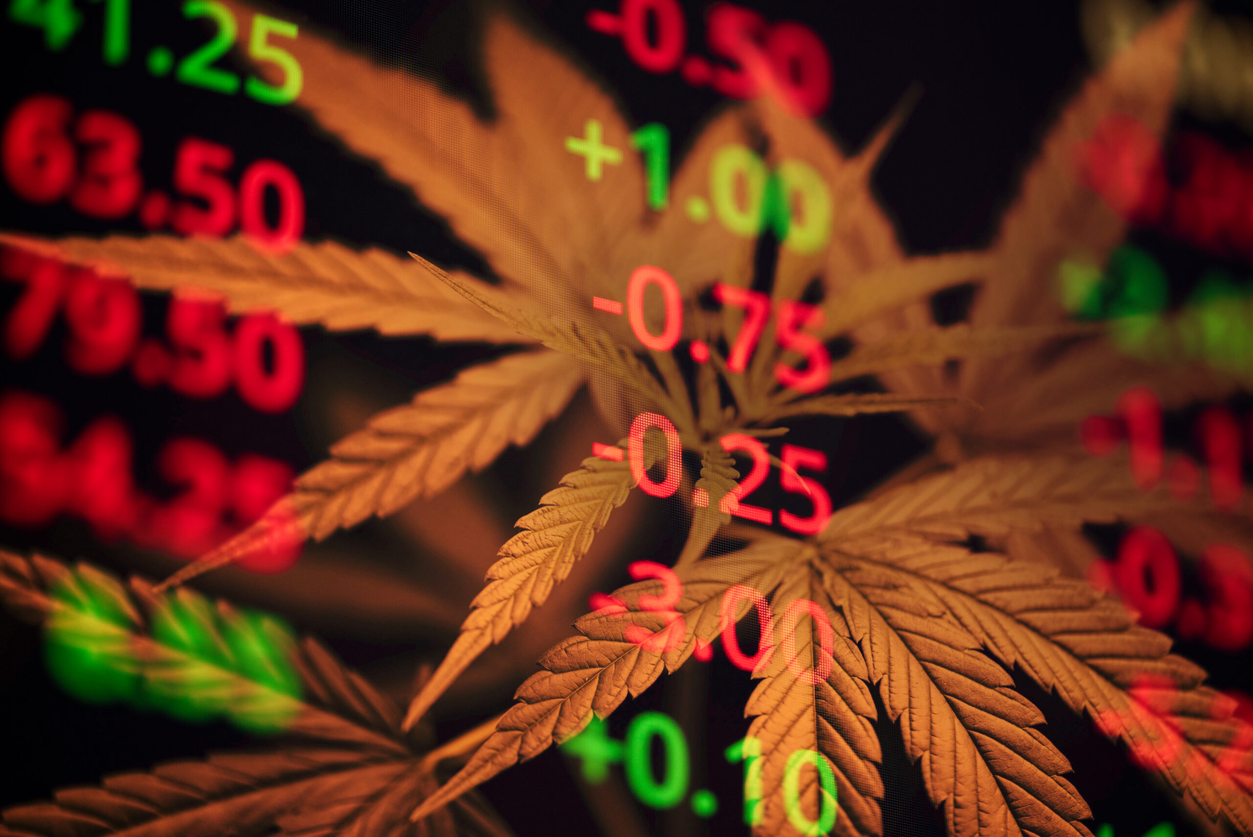 Cresco Labs Stock (CRLBF) How the Chicago Cannabis Company Ranks