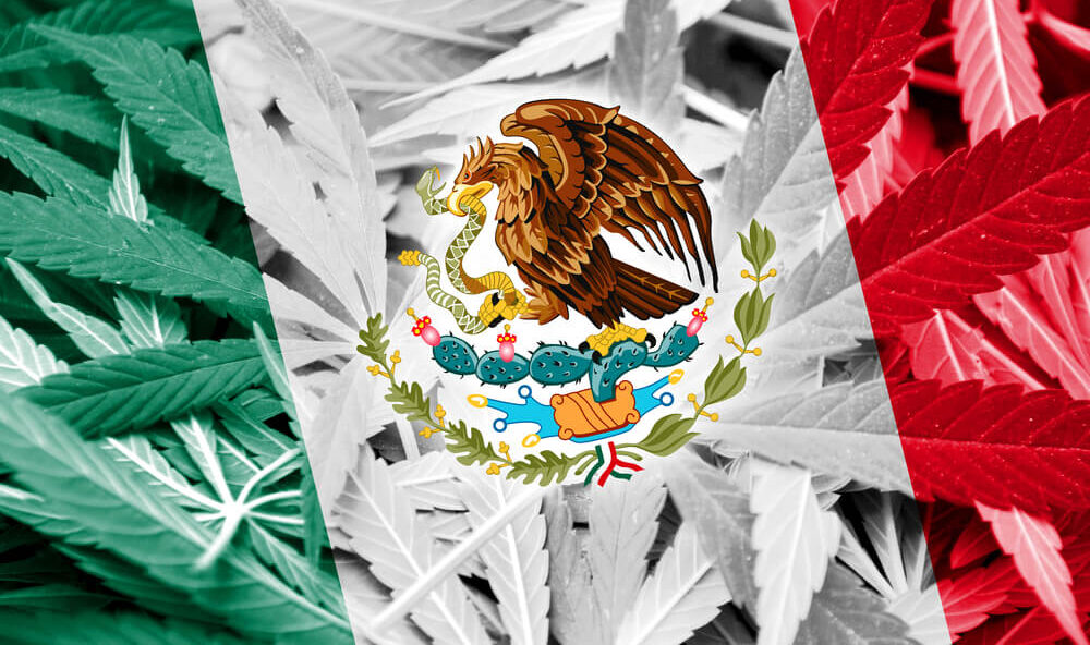 Legal Cannabis in Mexico May Trigger a Stock Frenzy