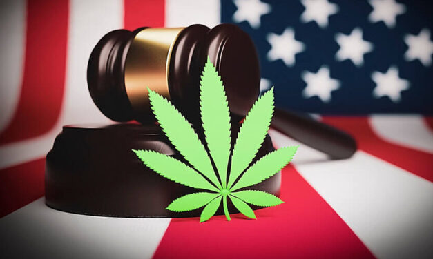 Should Midterm Elections Influence Your Cannabis Investing?