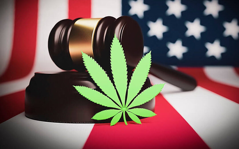 Should Midterm Elections Influence Your Cannabis Investing?