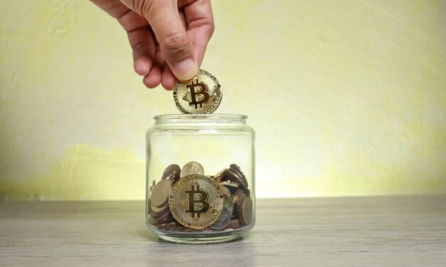 A Bitcoin Nest Egg: Should Your IRA Meddle in Crypto?