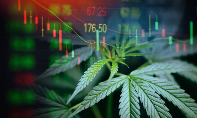 A Bright Spot in Cannabis Earnings Despite the Sell-Off