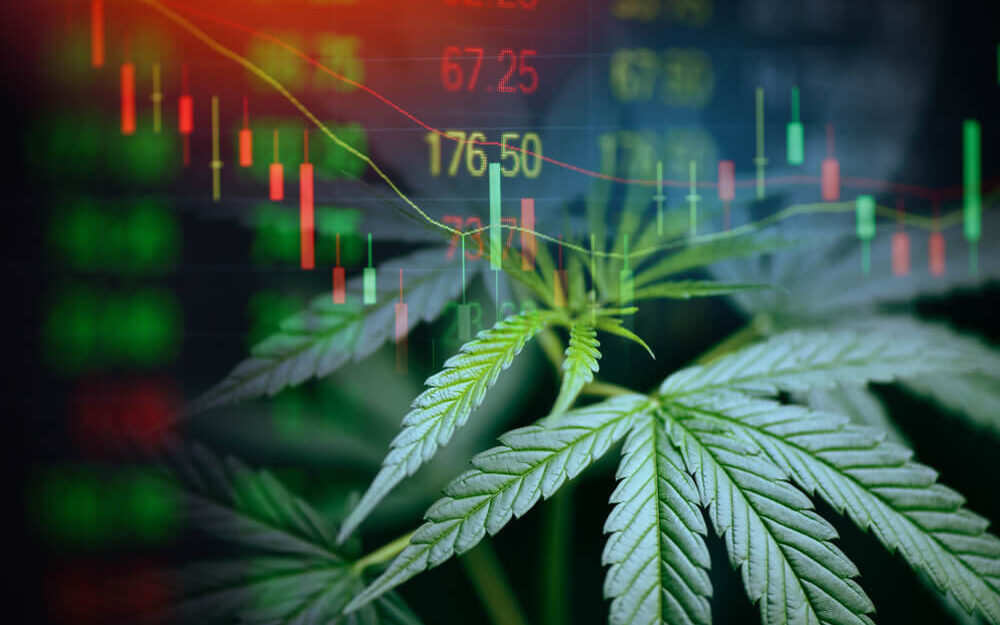 Bioharvest Stock Analysis + Cannabis and COVID