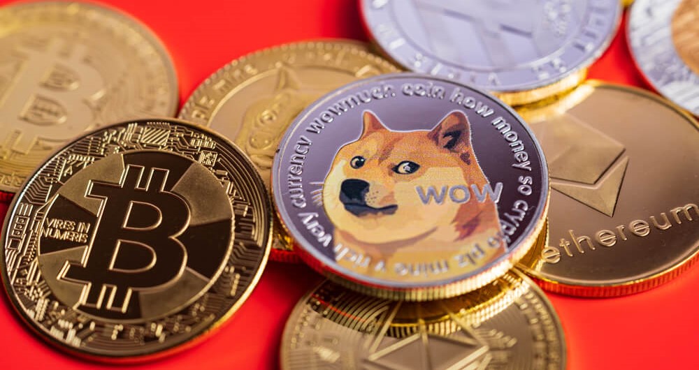 DOGE & SpaceX? Don’t Miss Crypto’s Comeback