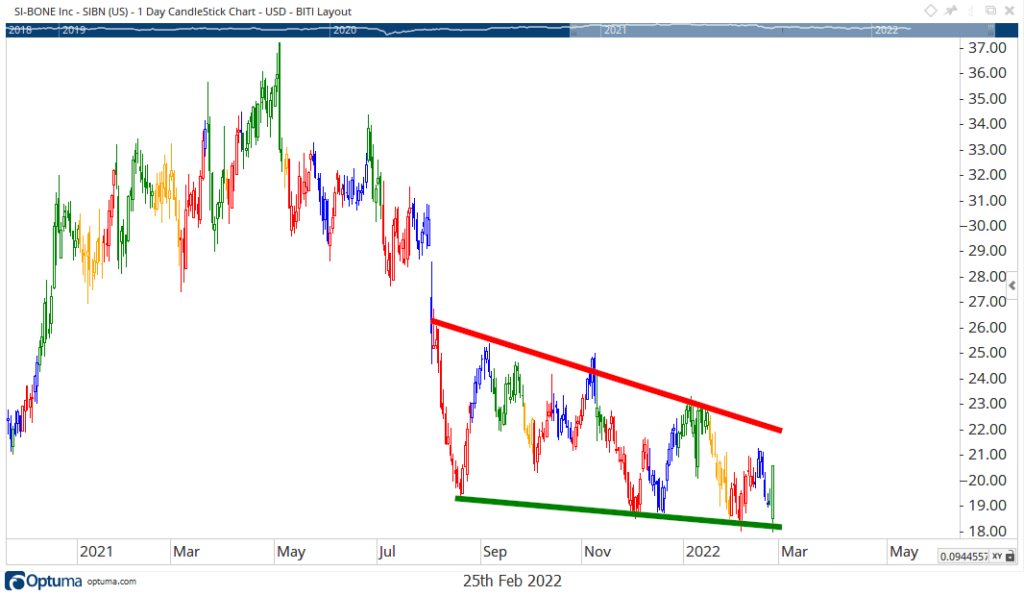 SI-Bone stock chart earnings SIBN