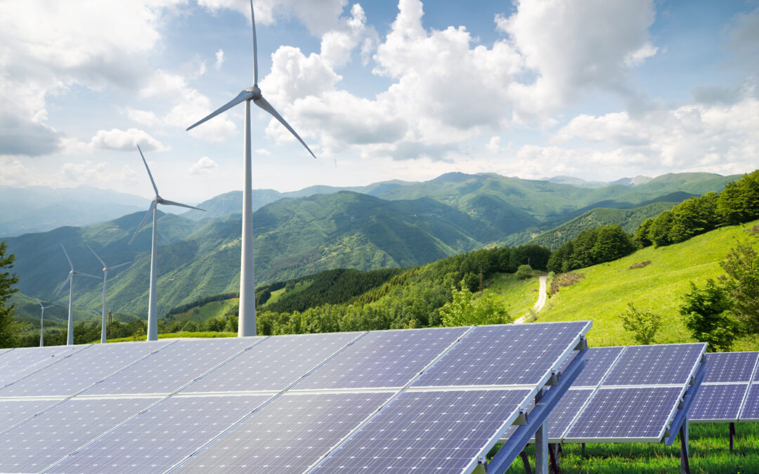 Solar vs. Wind in 2024’s Race for Renewables