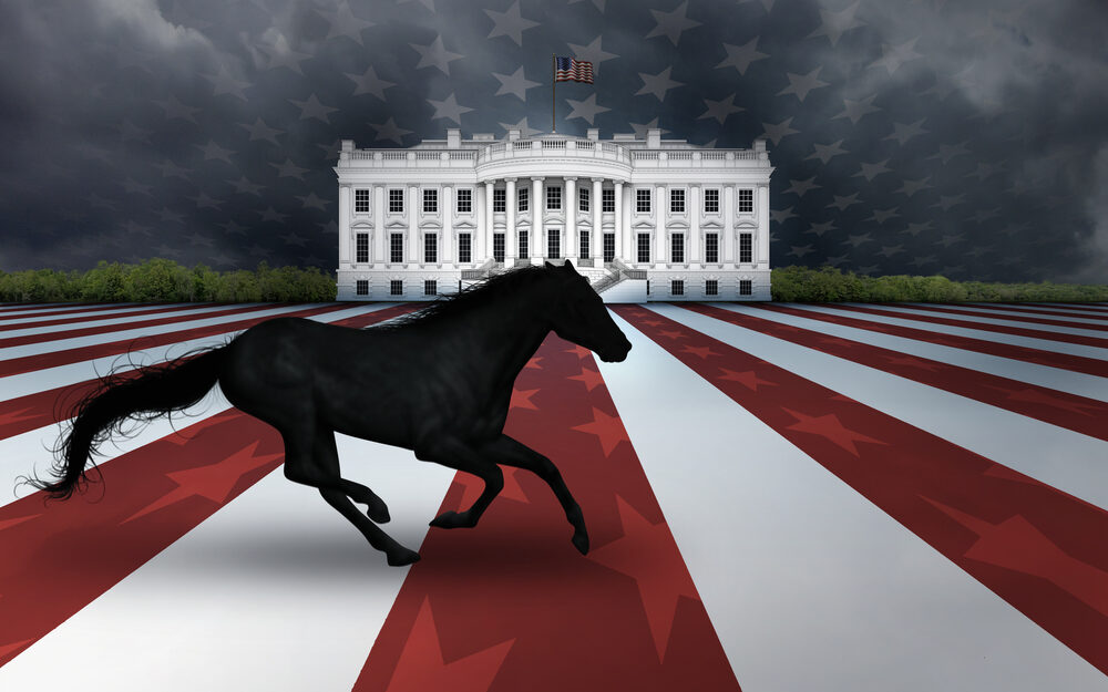 Dark Horse running to White House