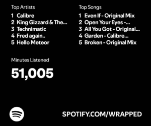 Spotify wrapped cropped